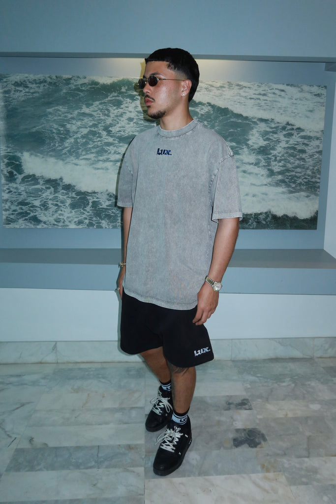 Lux Gray&Blue Men T-Shirt